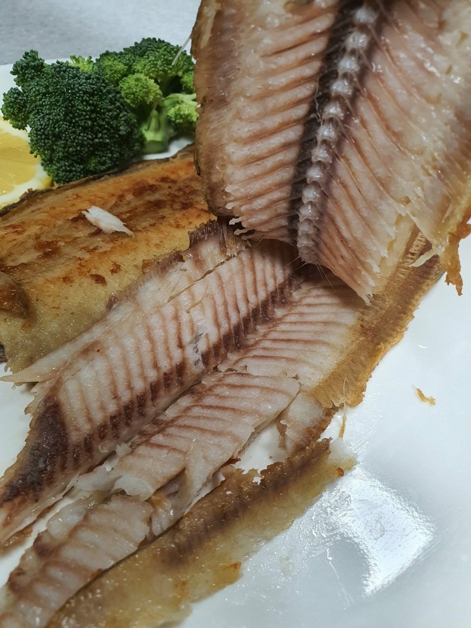 반건조 박대 34cm 내외 4미