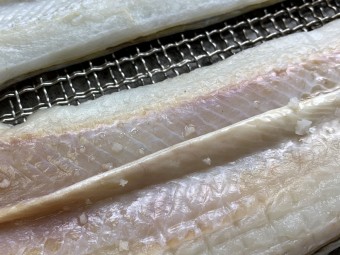 아나고(붕장어) 3마리(손질전1kg,손질후600~700g)