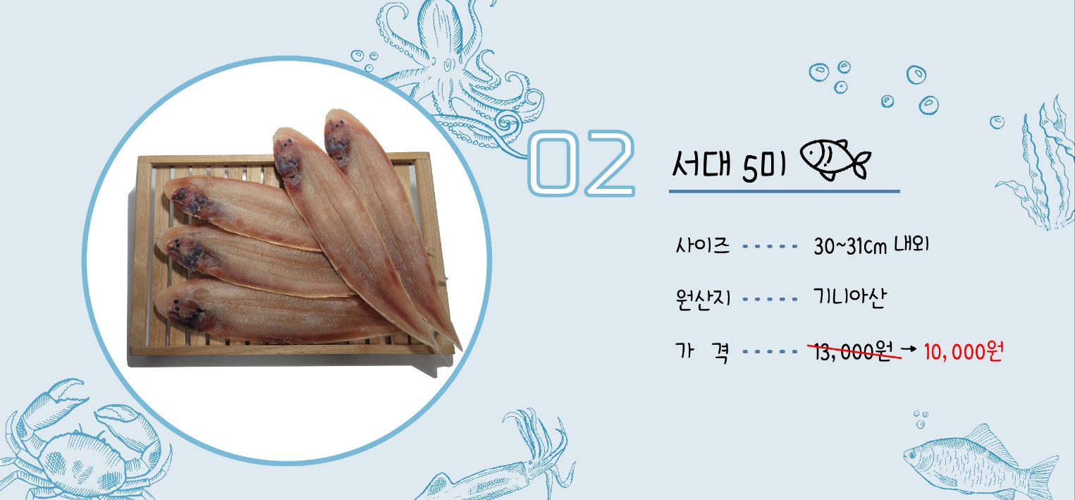 반건조 생선 골라담기