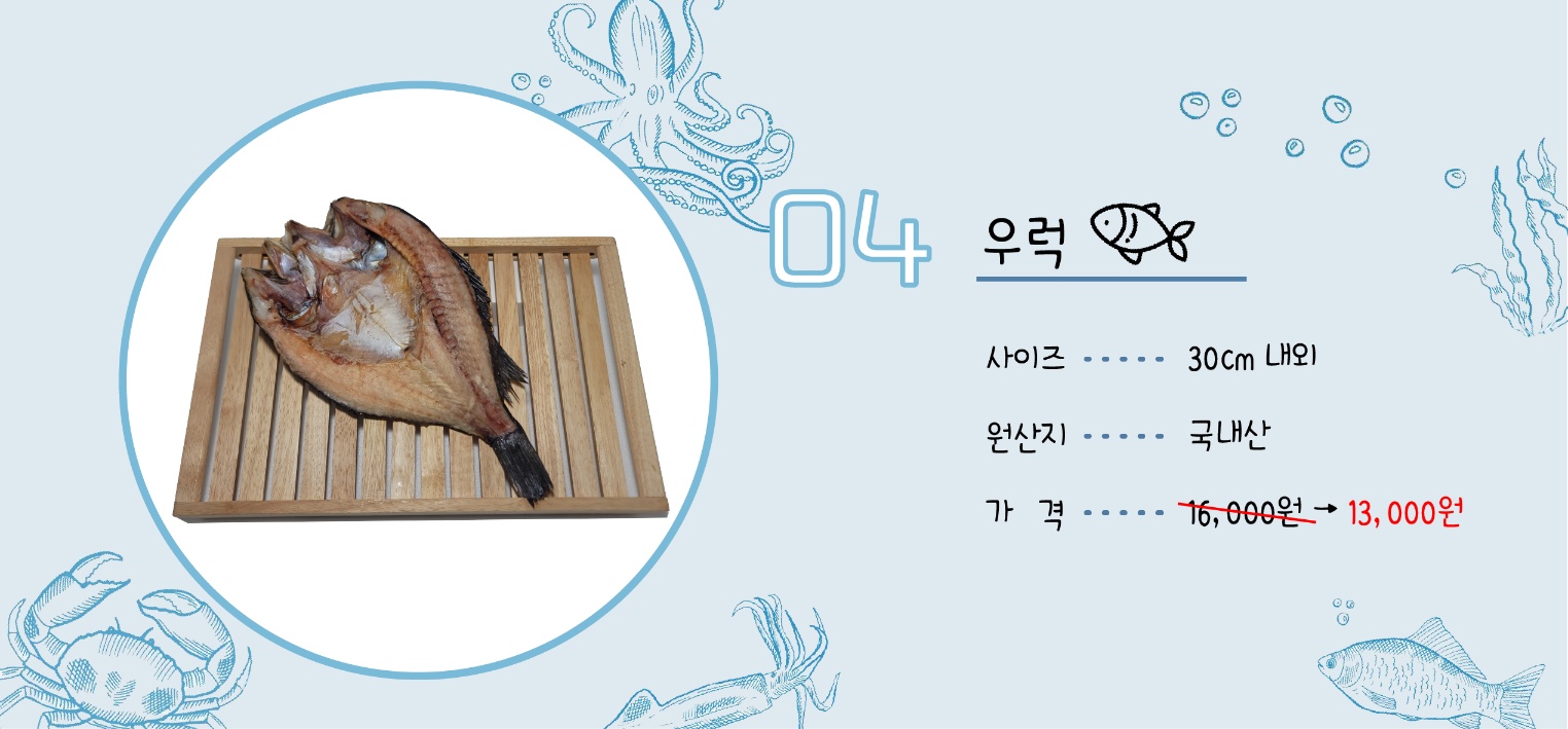 반건조 생선 골라담기