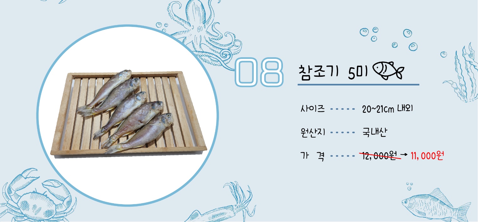 반건조 생선 골라담기