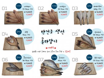 반건조 생선 골라담기